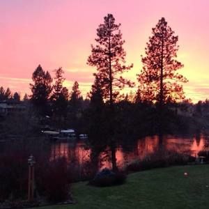 Meet your Posher, Ginger